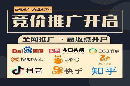 关键词竞价排名实战案例精选解析